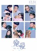 天剑无双的游戏魅力与玩法揭秘